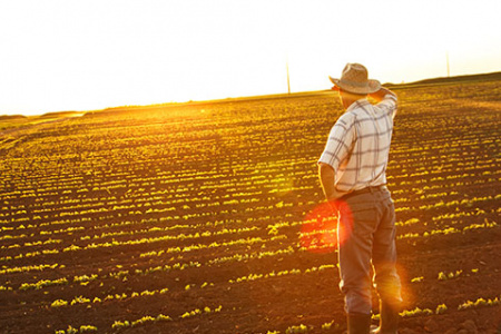 Agriculture Lending